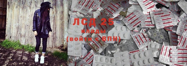 прущий лед Алзамай