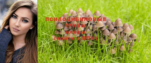 героин Лабытнанги