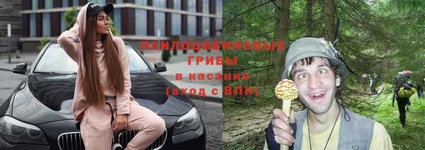 прущий лед Алзамай