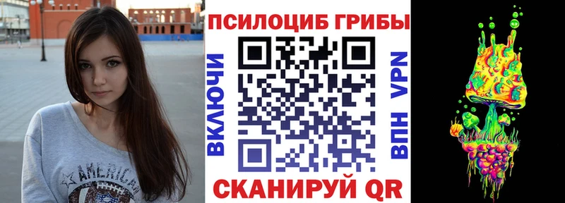 Галлюциногенные грибы Psilocybe Купить закладки Воскресенск